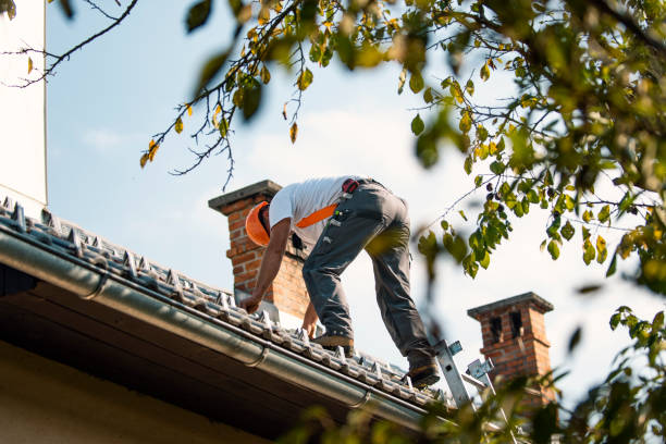 Roof Gutter Cleaning in Gardner, IL